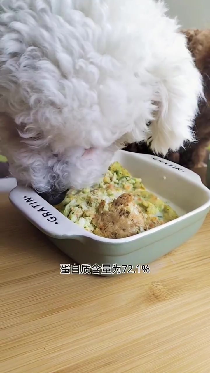 银鱼的营养价值高,并且容易消化吸收,赶紧给毛孩子安排起来吧