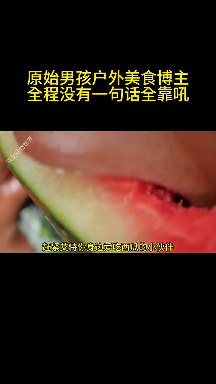 原始男孩户外美食石板烤鱼全程没有一句话全靠吼