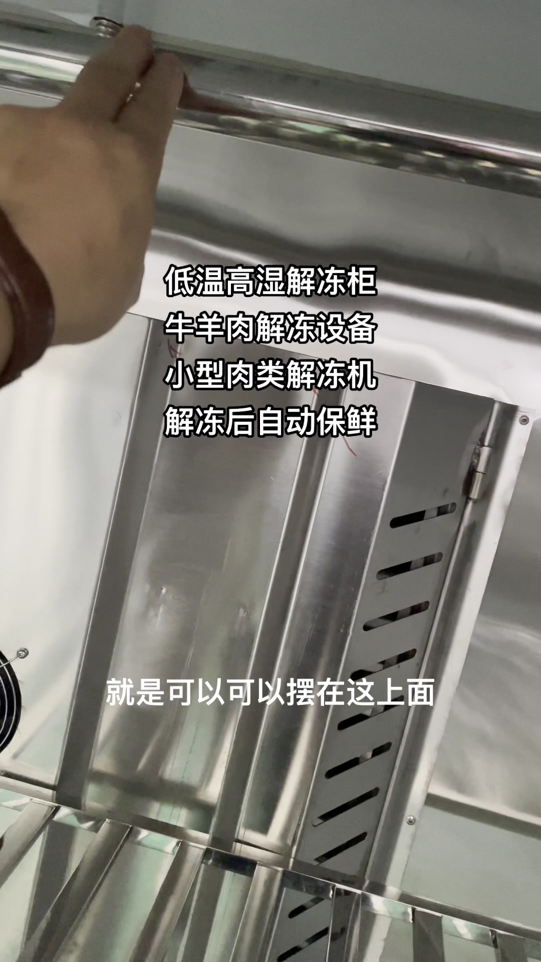 小型肉类解冻机解冻猪牛羊肉鸡肉墨鱼冻虾低温高湿解冻柜