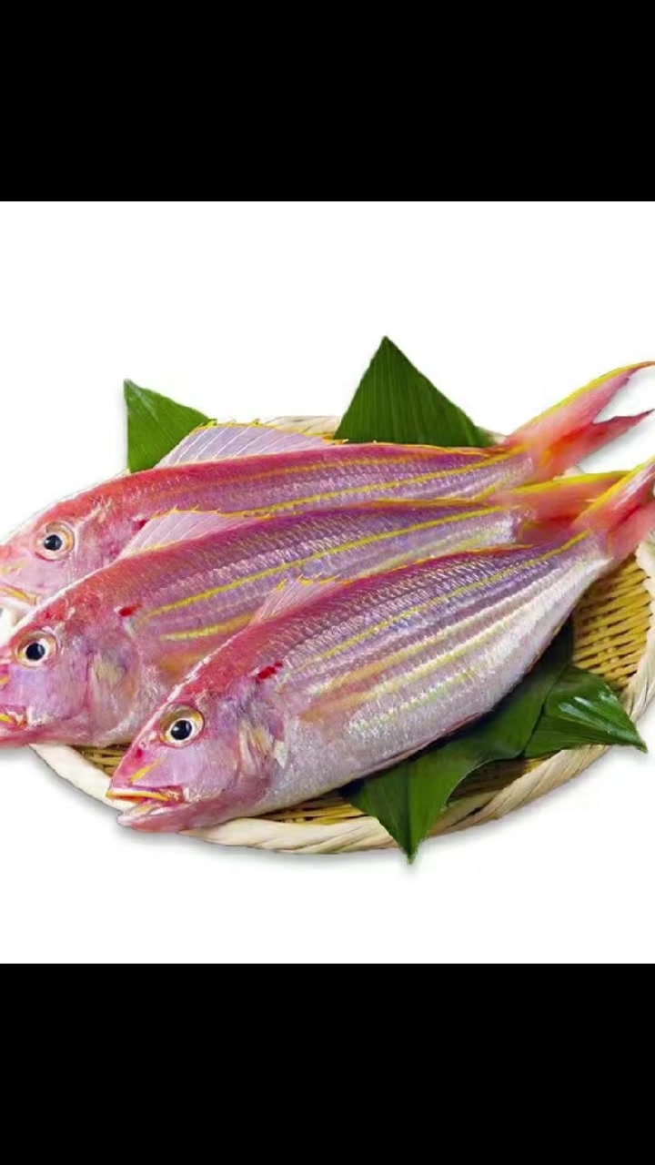 大量本港海钓金丝鱼