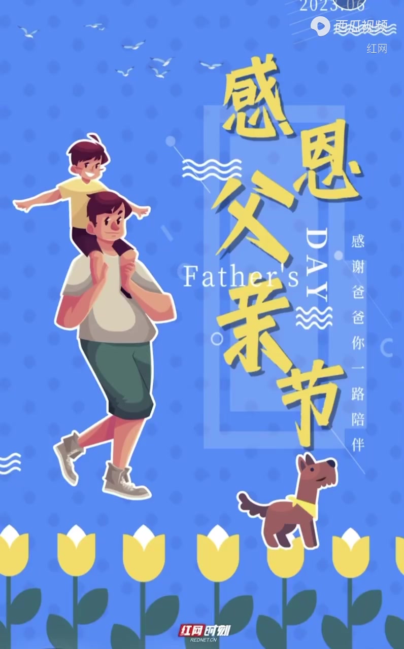 视频丨感恩父亲节:爸爸(孩子),我想对你说