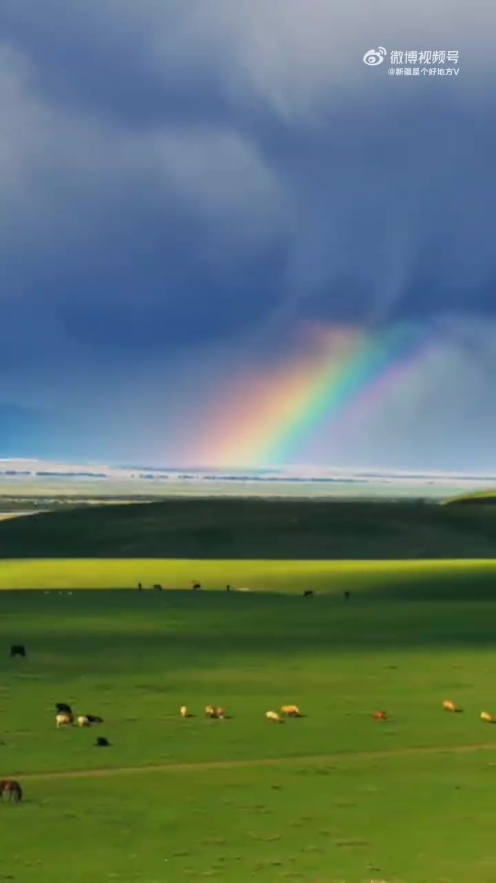 “美丽公约”发起人倡议:管好自己的垃圾,垃圾不落地,独库更美丽!生活无解独库撒野 小新带你