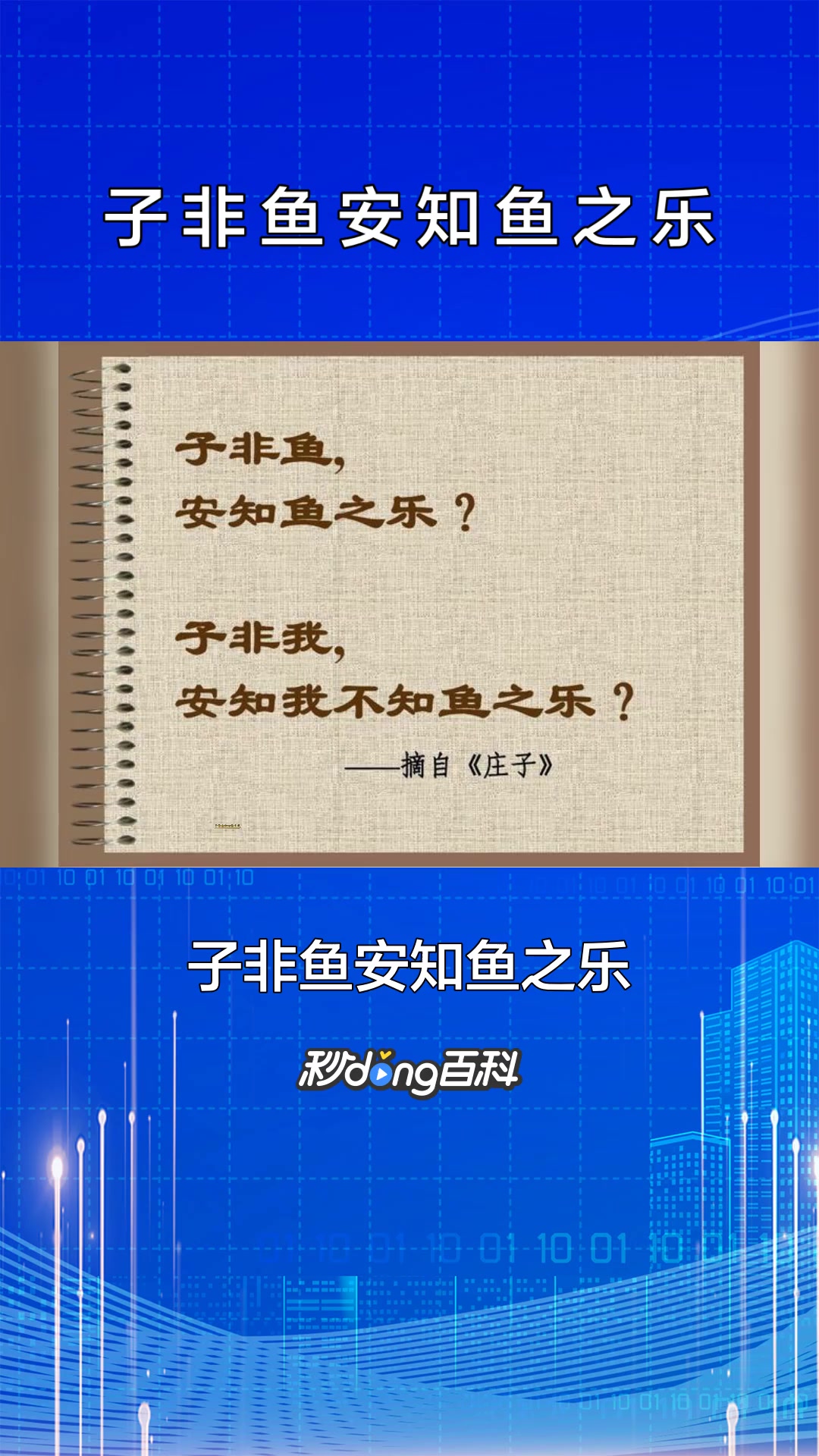 一分钟了解子非鱼安知鱼之乐