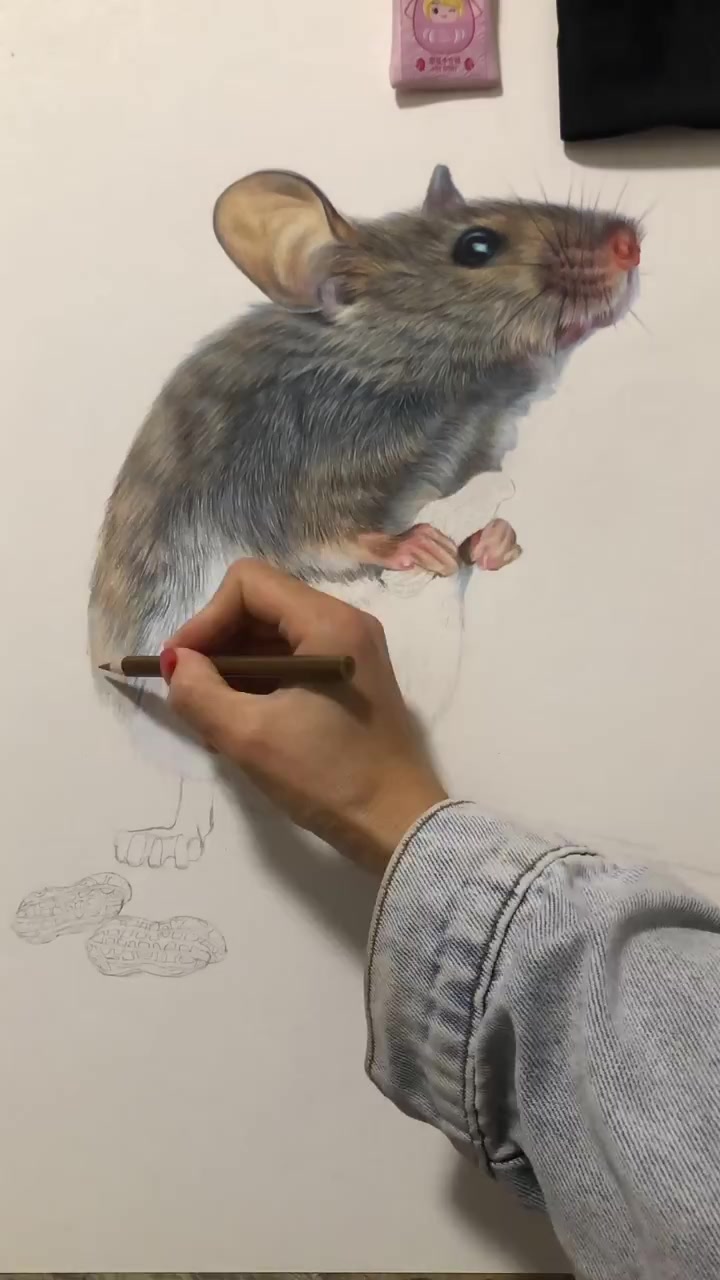 为什么我画的这一只小可爱他们说是鸭脖,难道指鹿为马已为常态?