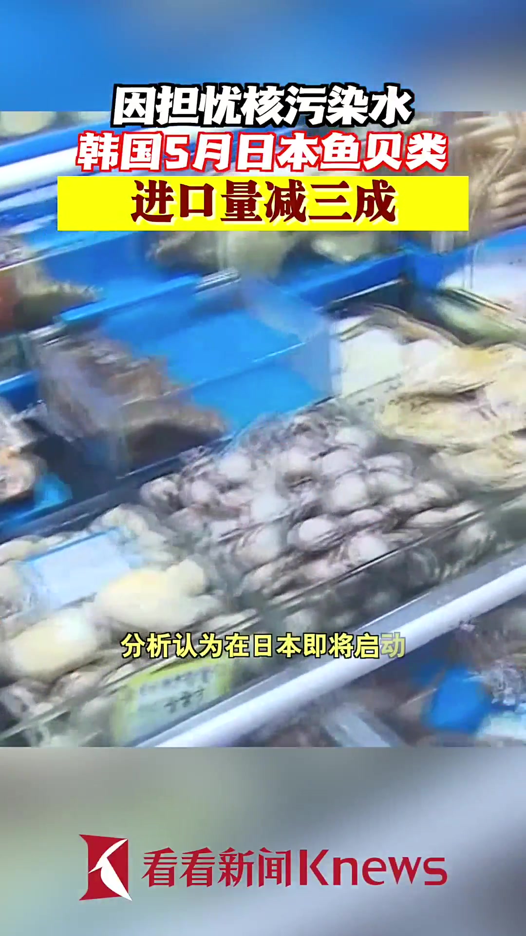 因担忧核污染水 韩国5月日本鱼贝类进口量减三成
