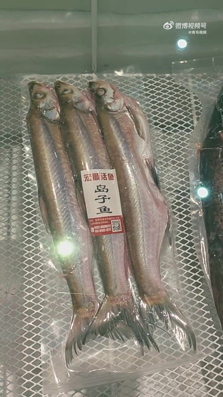 吉林巿松花江水草肥美,物产丰富,正宗的三花一岛长什么样,给同学们科普一下