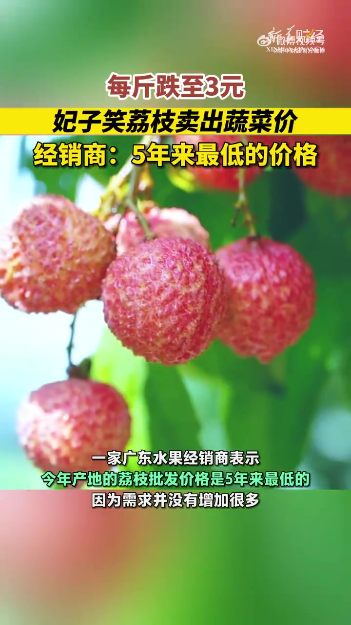 「妃子笑荔枝卖出蔬菜价 经销商:5年来最低的价格」荔枝价格跌至5年来最低 今年是荔枝大年,