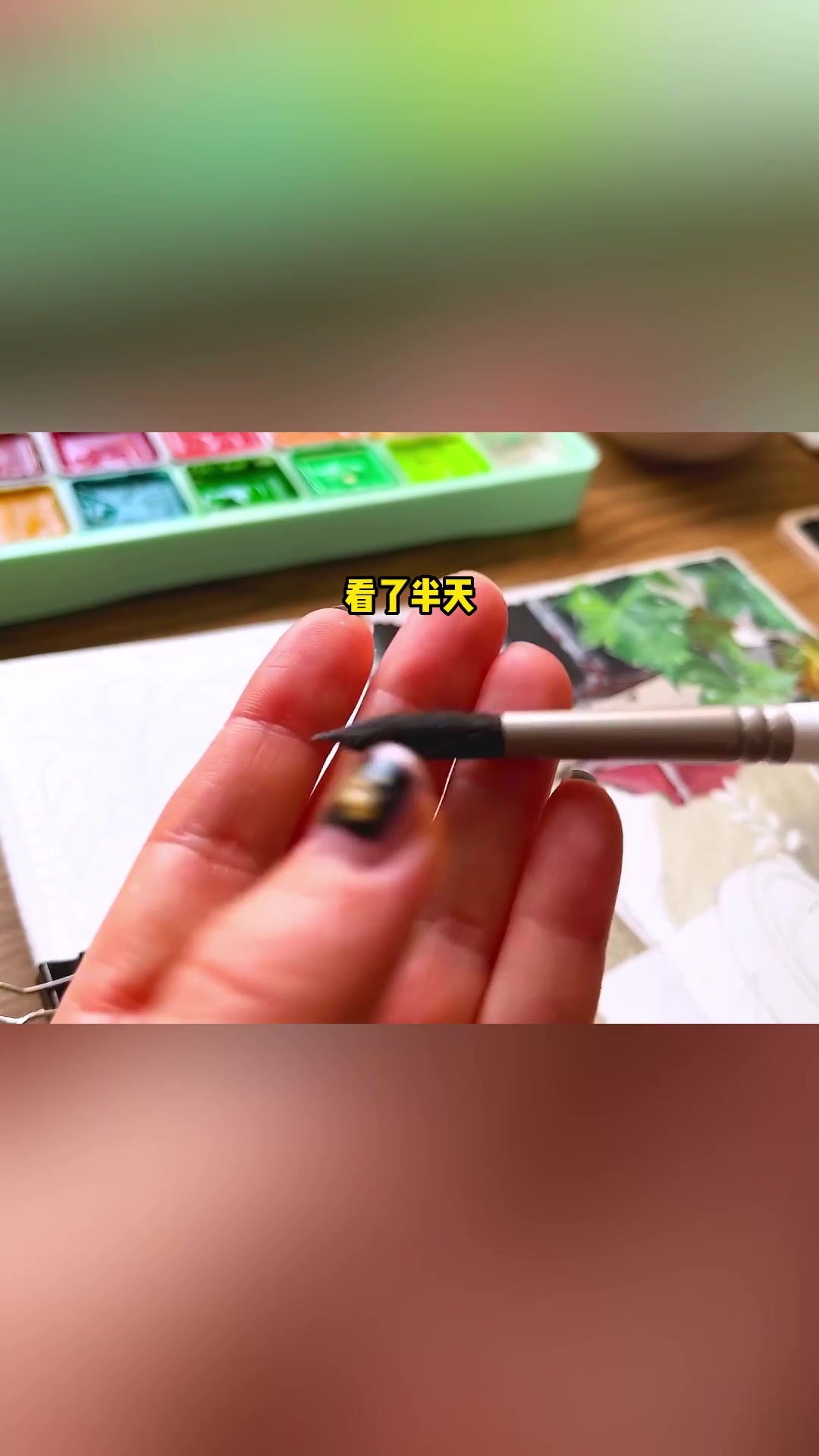 《飞鸟齿轮》我是从孤儿院抱养又弃养的孩子 院长奶奶给取名南枝