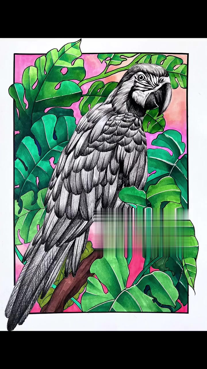 特色素描动物系列|鸟禽类|线稿完成图