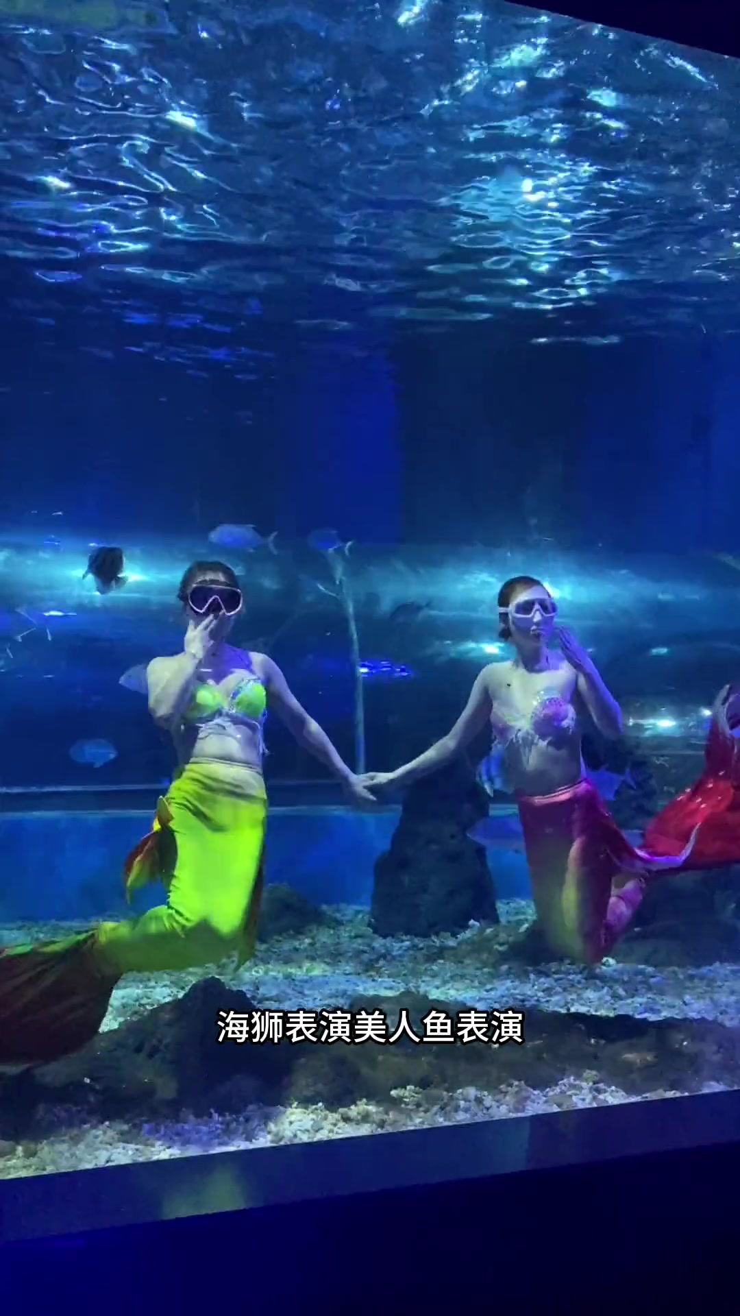 美食博主忻州旅行第一站!忻州海洋馆 忻州旅游 海洋馆 +小助手