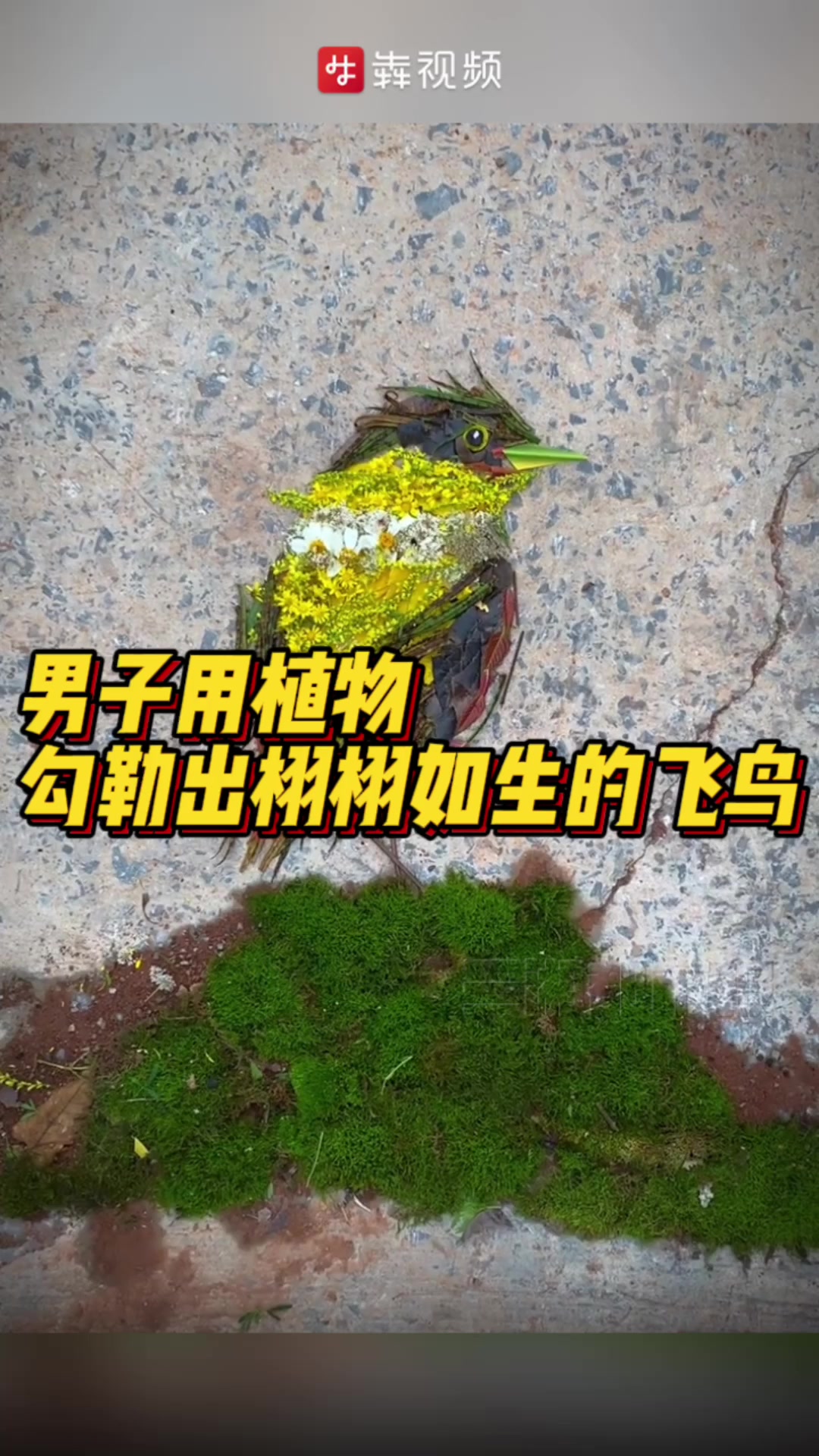 男子用捡来的树枝拼成飞鸟