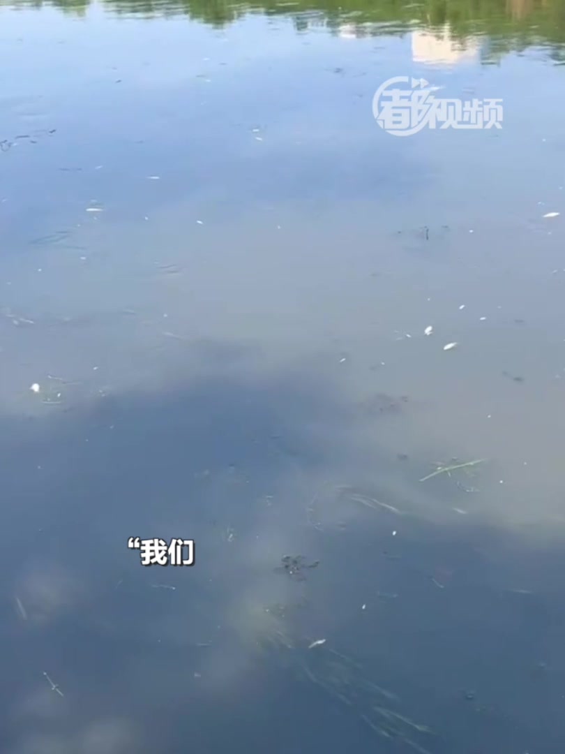 北京多条河流出现大量死鱼,水务局:多是这个原因→
