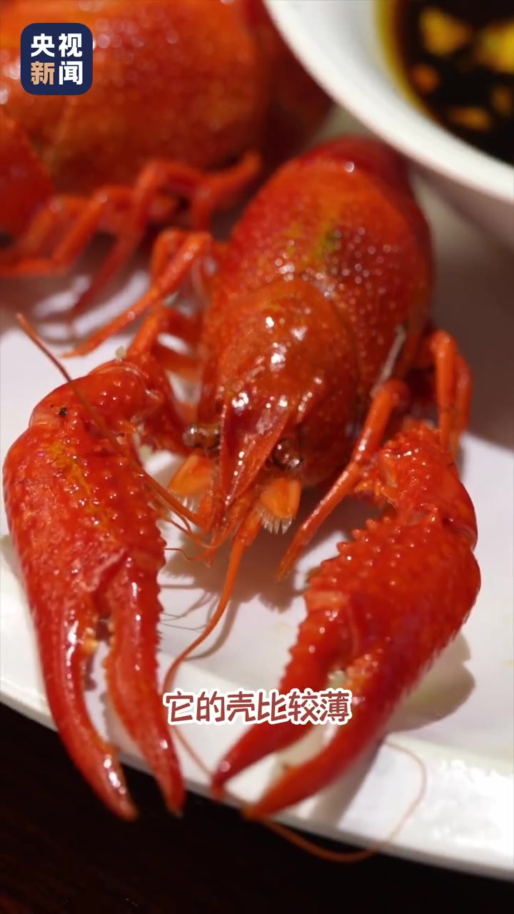 崃科普「小龙虾怎么做更好吃「馋嘴」」作为夏日深夜食堂的常驻选手,小龙虾温暖了无数吃货的胃。
