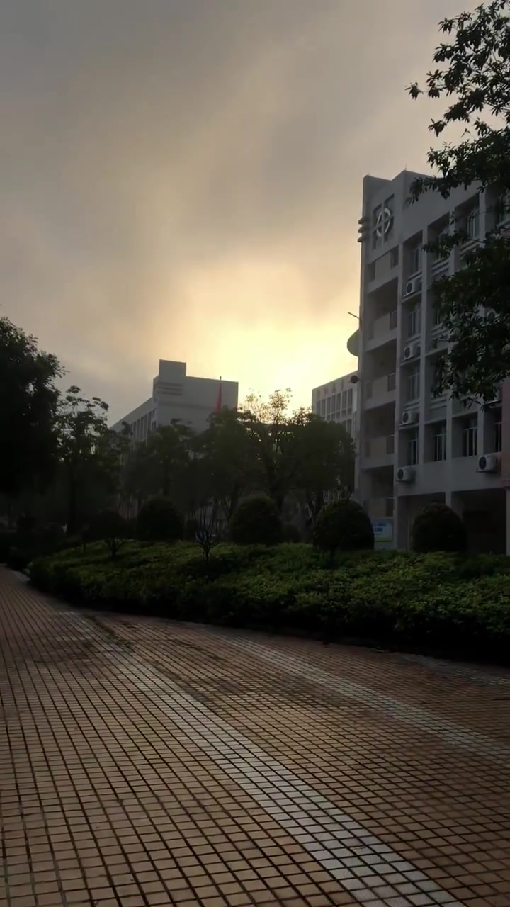 你们觉得我们学校食堂的饭菜怎么样?