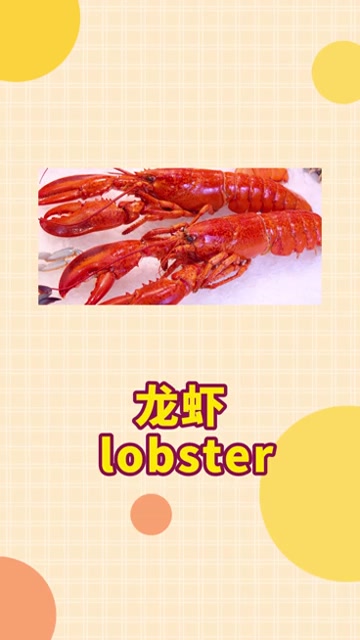 英语 英语学习 生活中吃过的海鲜,你知道英语怎么说吗?小龙虾?鱿鱼?扇贝?……
