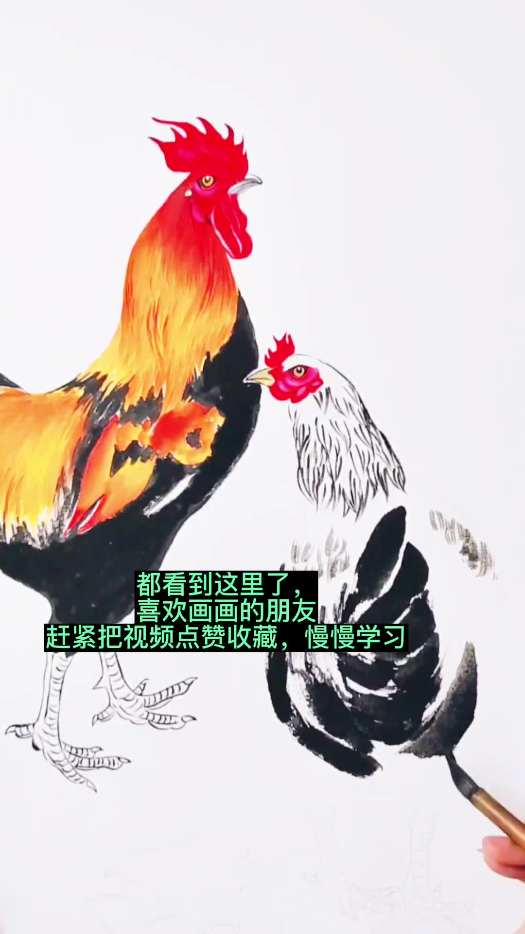 国画教程——母鸡画法,母鸡比公鸡更简单