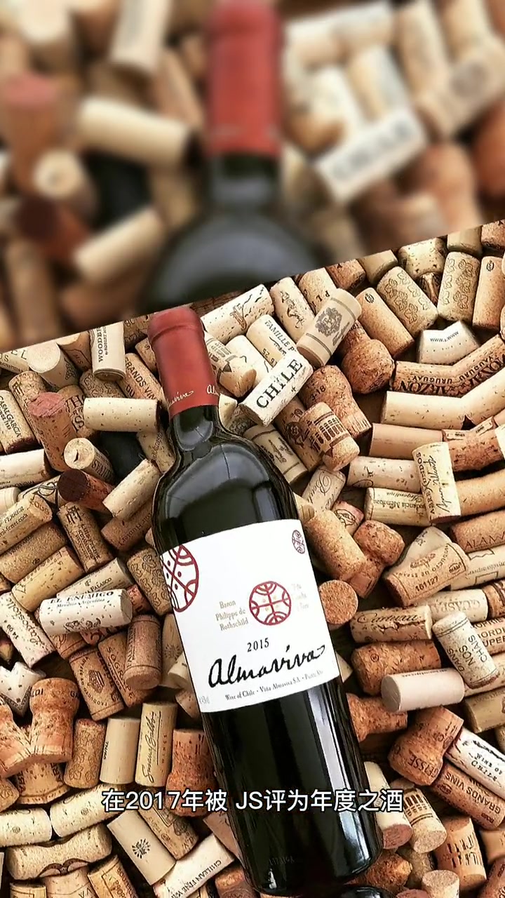智利酒王——活灵魂 智利 葡萄酒知识 开瓶 活灵魂 手绘 DOU+小助手