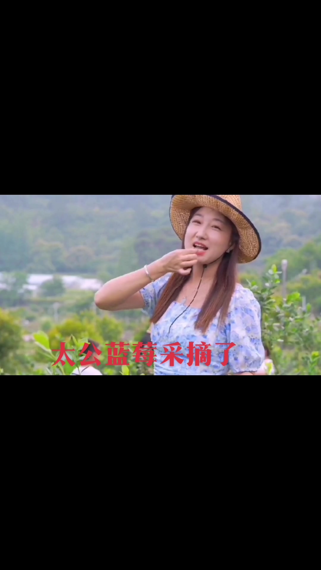 常熟太公蓝莓园采摘了