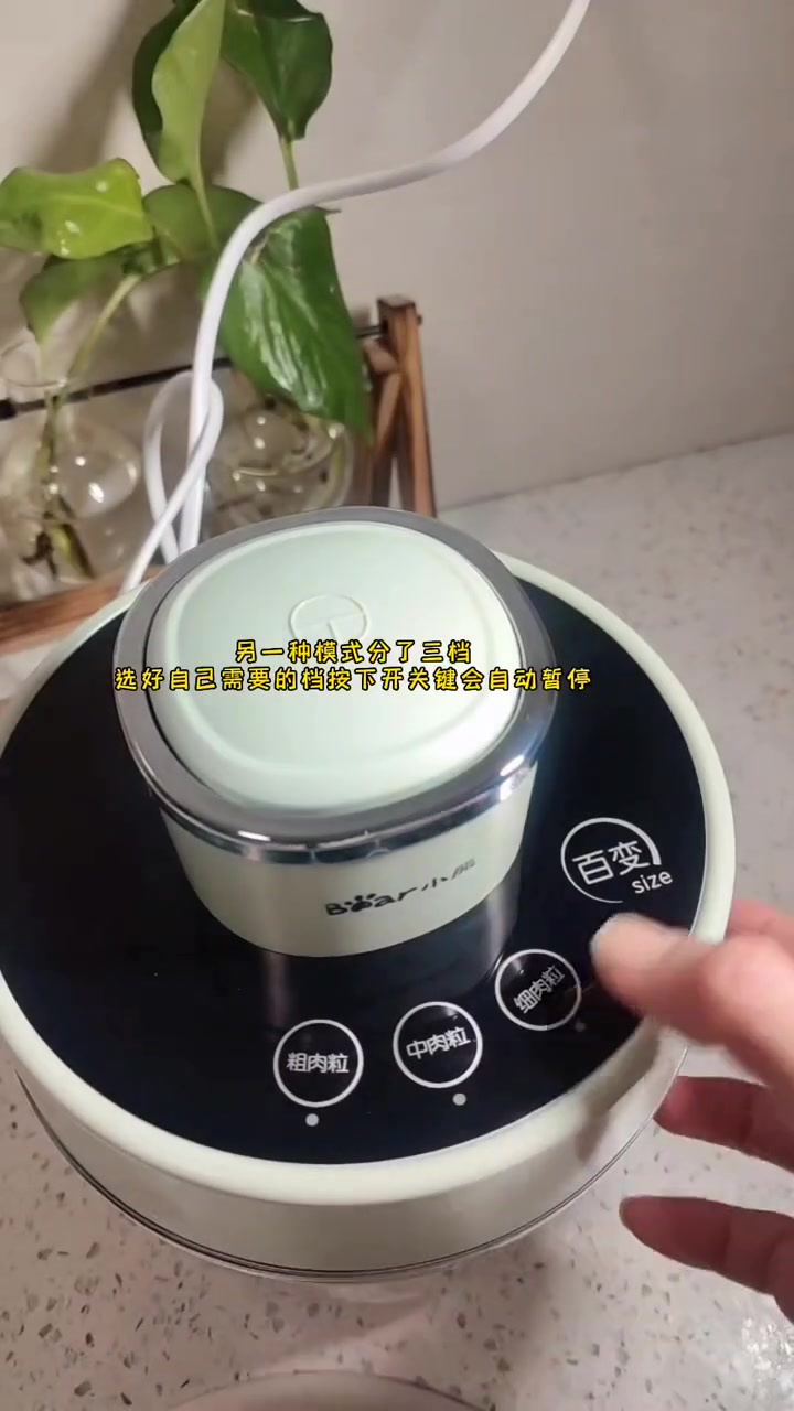 今天蒸了一锅白菜饺子,白菜饺子也叫百财饺子,有聚财发财的寓意,过年吃出好运来 彩色饺子 花