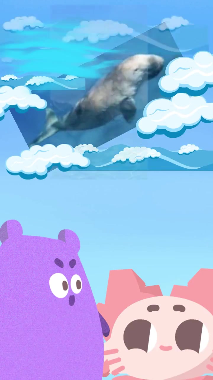 现实中的美人鱼长什么样呢!美人鱼 科普一下 海洋生物