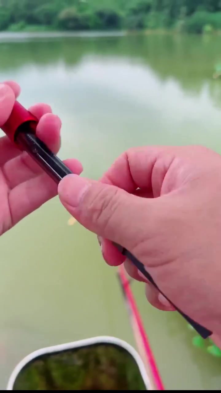 家人们冲啊!买它买它!小凤仙带壳芦苇3支装心弦XT全水域鲫鲤混养鱼漂套装玫红色礼盒装