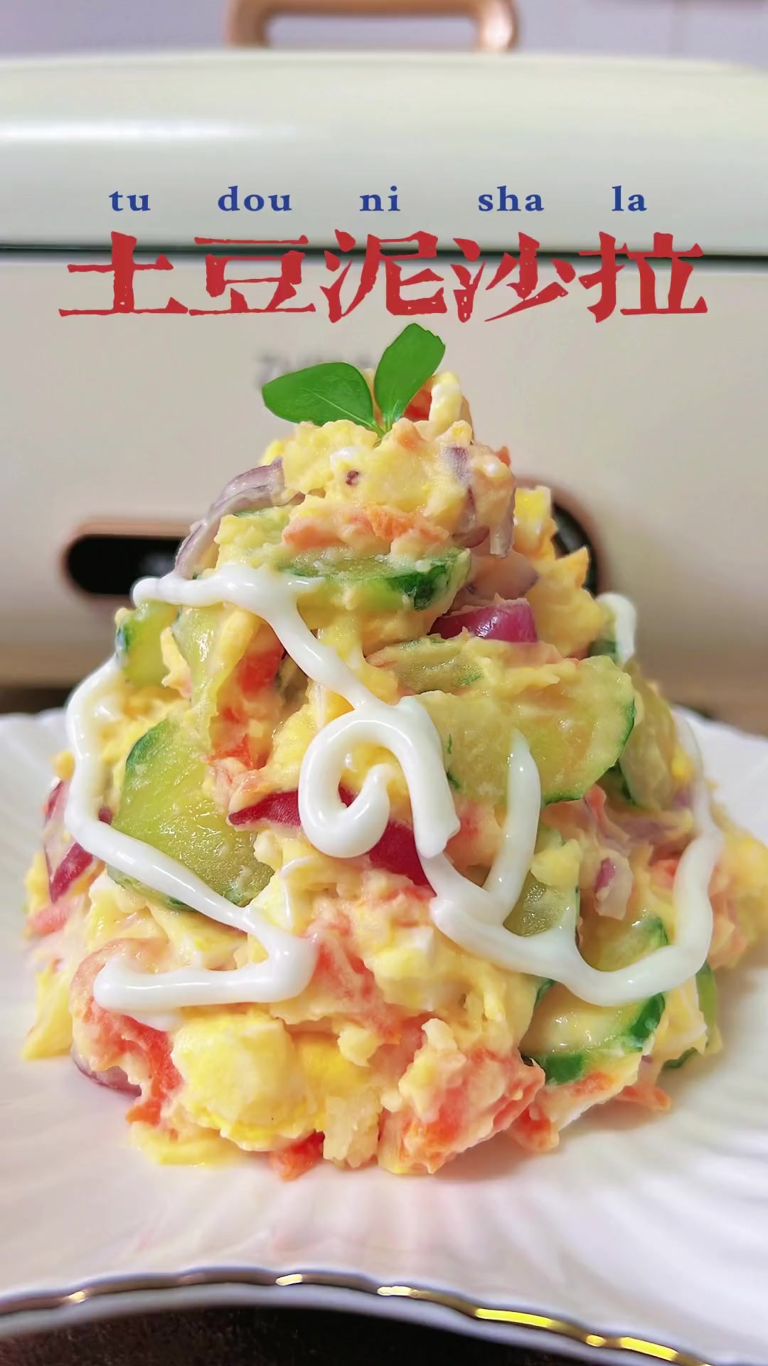 用坚强的洋葱黄瓜胡萝卜土豆做个土豆泥蔬菜沙拉 土豆泥沙拉 土豆泥蔬菜沙拉