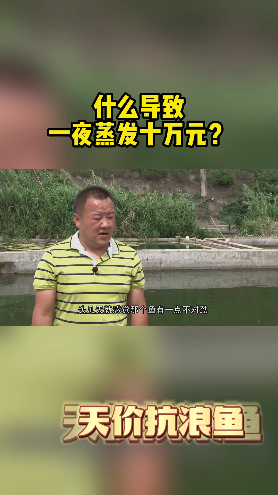 什么导致一夜蒸发十万元?