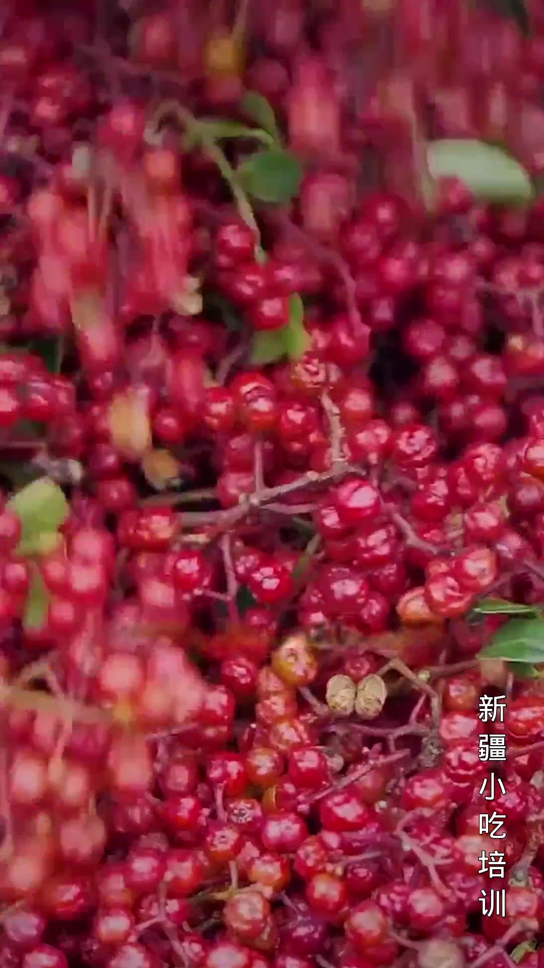 新疆特色美食椒麻鸡教程
