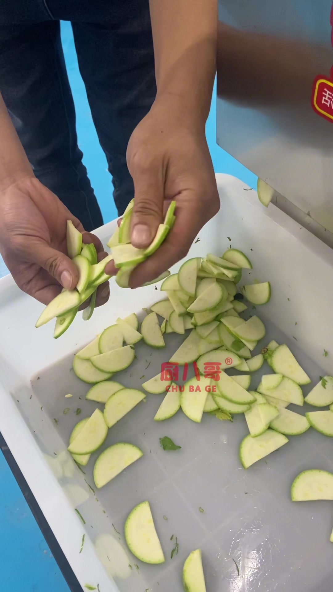 小型多功能切菜机
