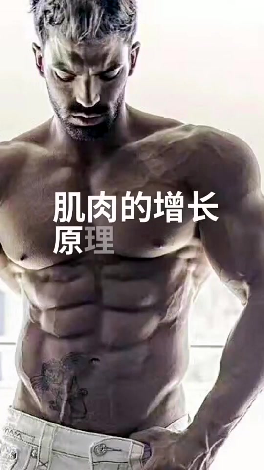 肌肉的增重原理