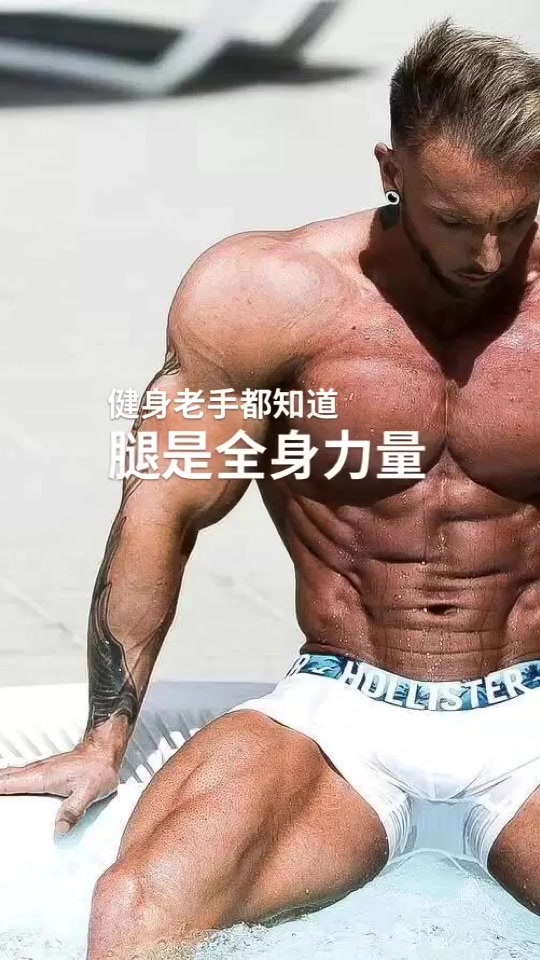健身老手都知道 腿是全身力量的源泉 腿部肌肉占了全身肌肉总量的60%以上 且训练腿部肌肉是