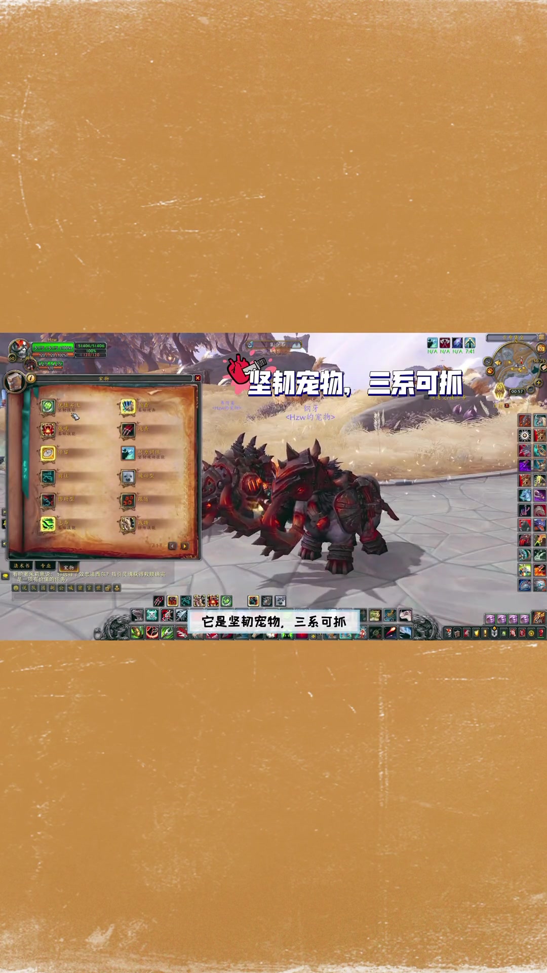 第8集|魔兽世界:全面汇总猎人可抓的盔甲宠物-钢牙-持续更新中-拉风宠物尽在此系列(重装工