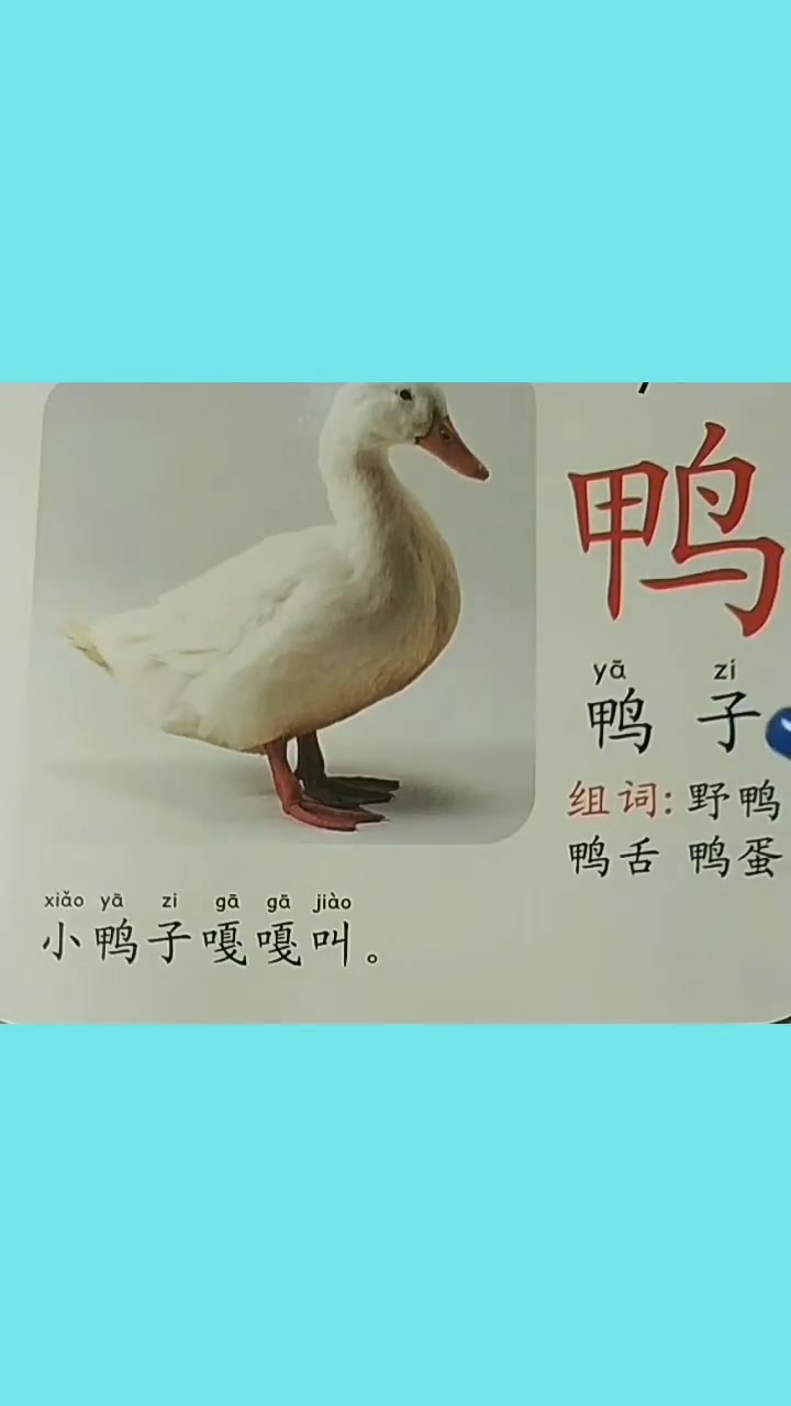 每天学习一点点就会有收获 好好学习天天向上加油你是最棒的 快速认识生活常用字 成人识字 成