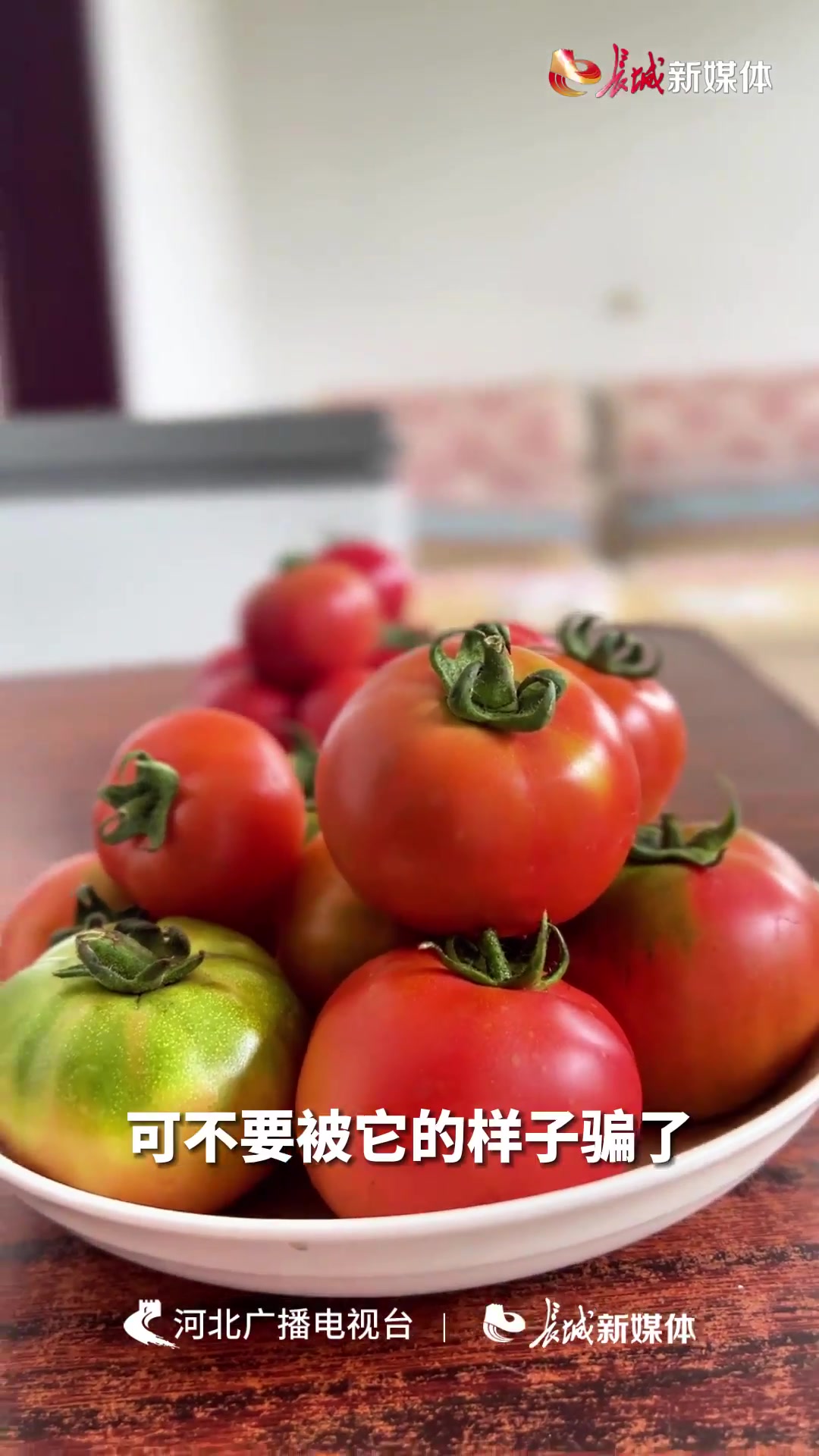 茶棚的“丑萌”西红柿熟了