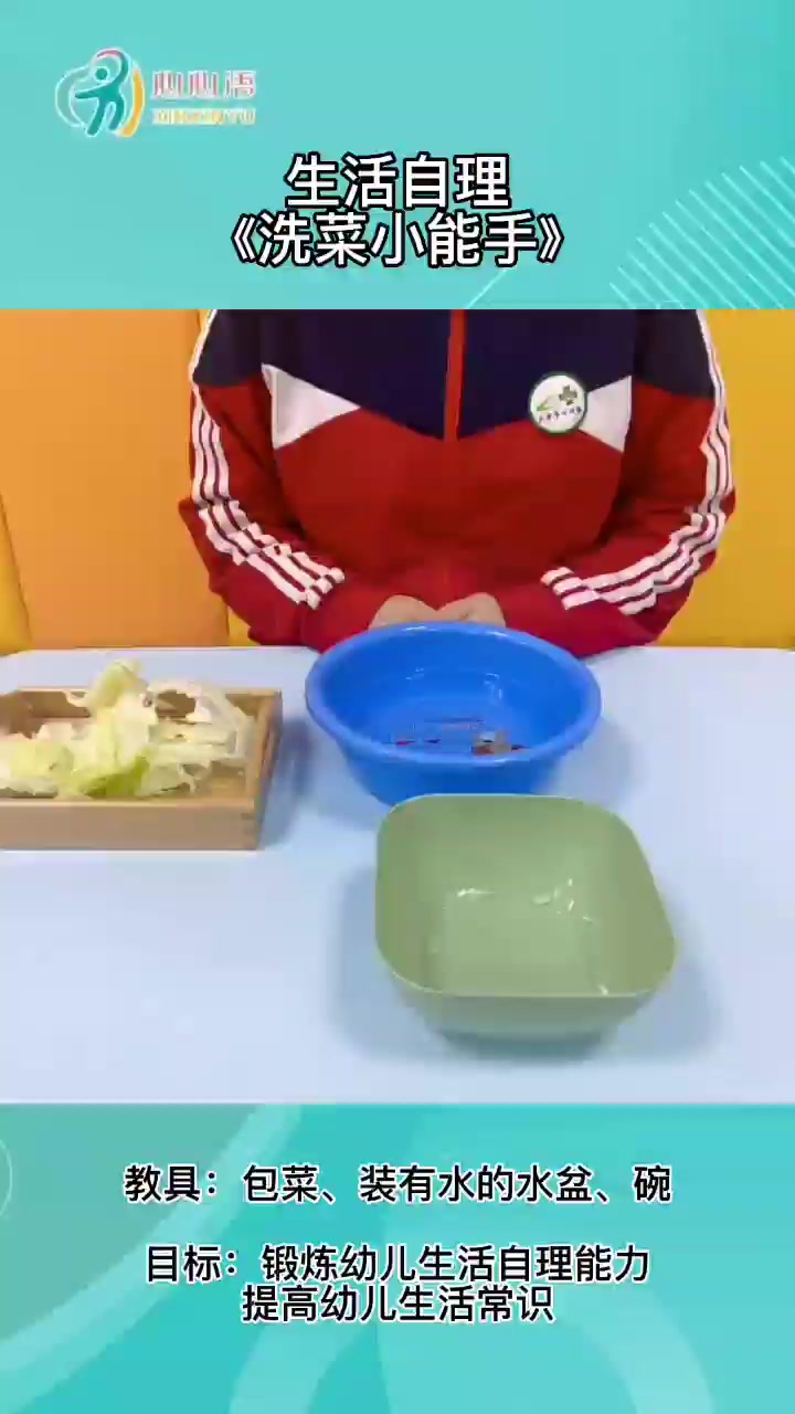 自理能力训练:《洗菜小能手》