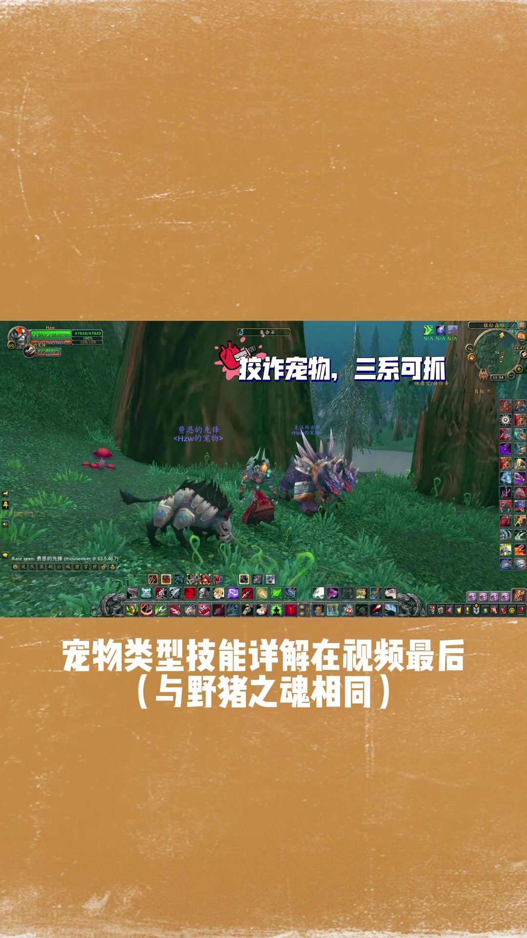 第6集|魔兽世界:全面汇总猎人可抓的盔甲宠物-费恩的先锋-持续更新中-拉风宠物尽在此系列(