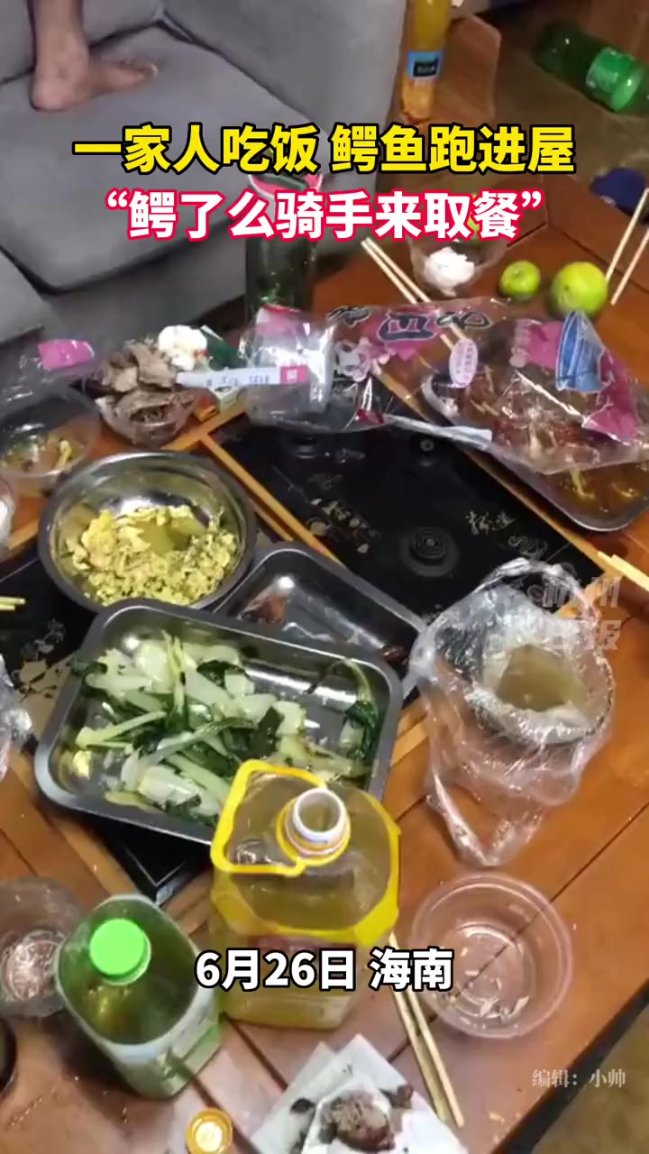 “您的鳄了么骑手来取餐了……”这一家人是住在哪里啊……海南 鳄鱼 外卖小哥