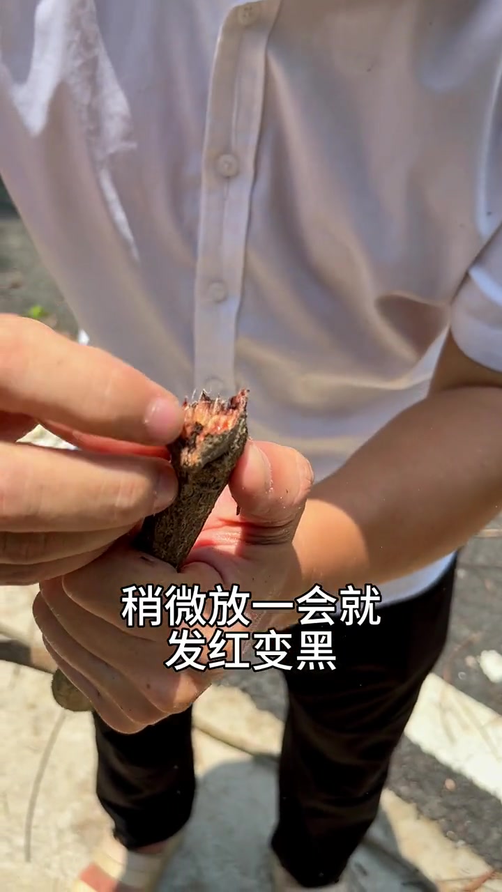 这条又长又粗的“蛇”,我们叫乌蛇,你知道它的其他名字吗?