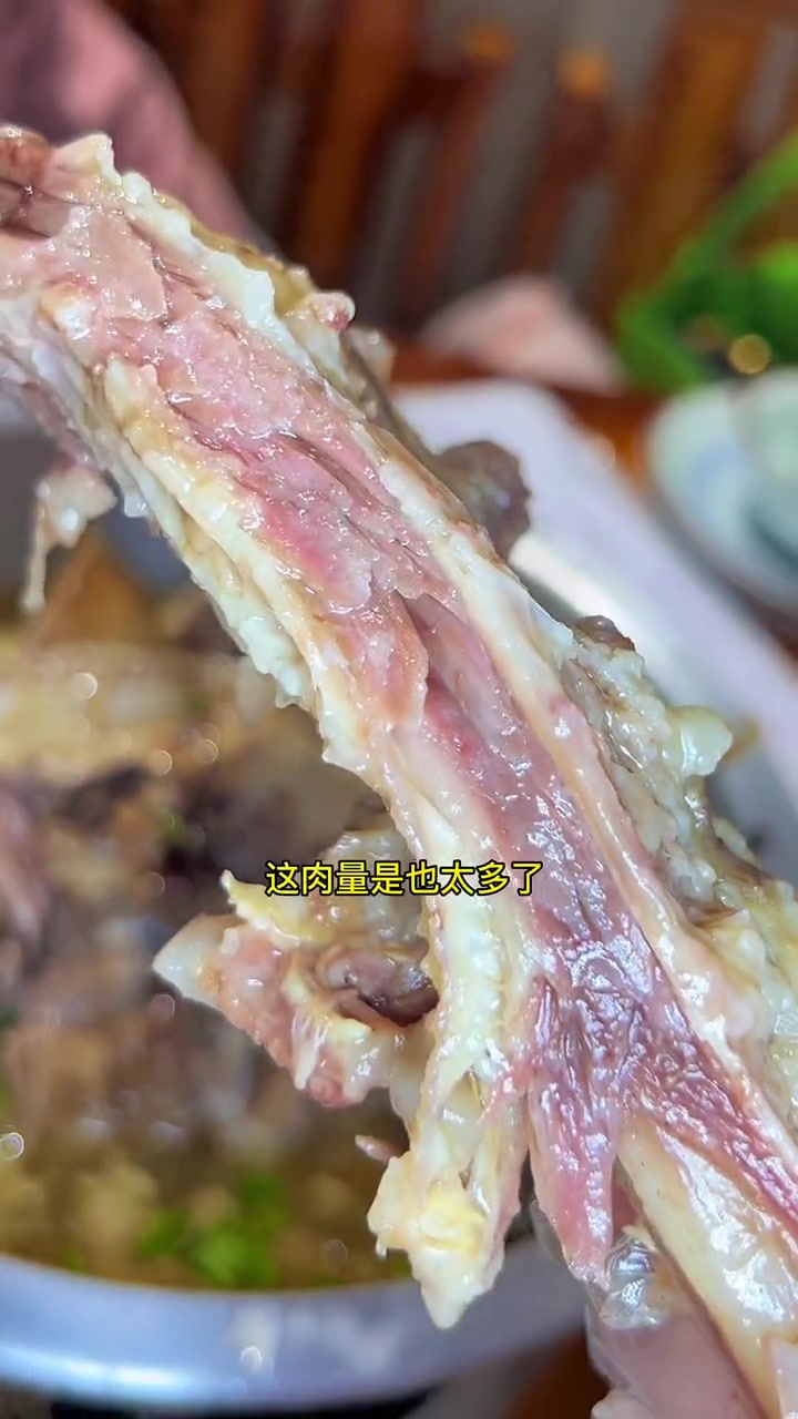 好吃又不贵的牛大骨,量大实惠肉特多,人均几十块钱吃到爽,配上韭菜花嘎嘎香,就在世光路上!吃
