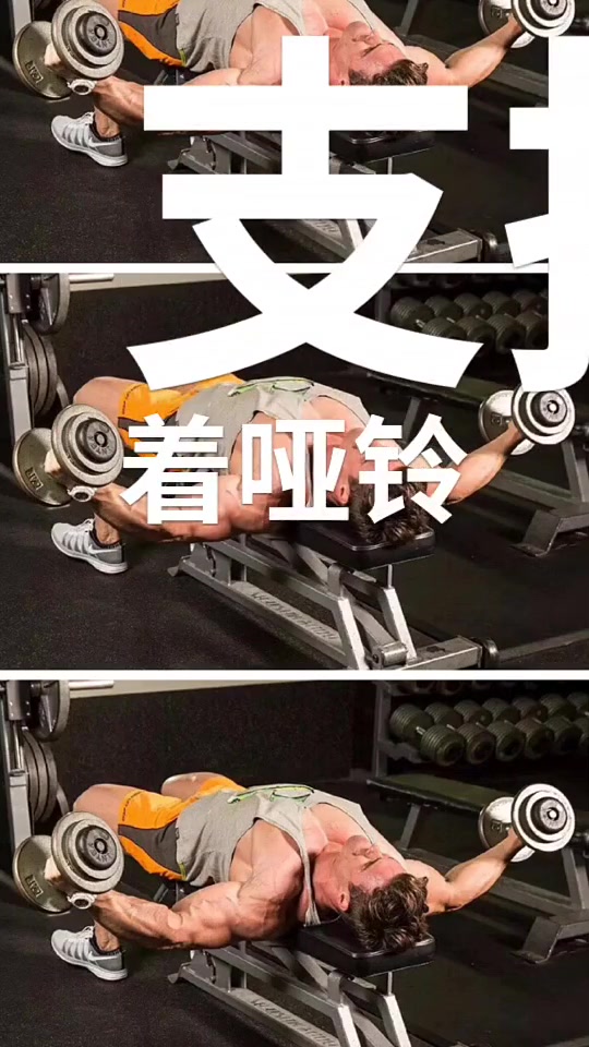 飞鸟动作