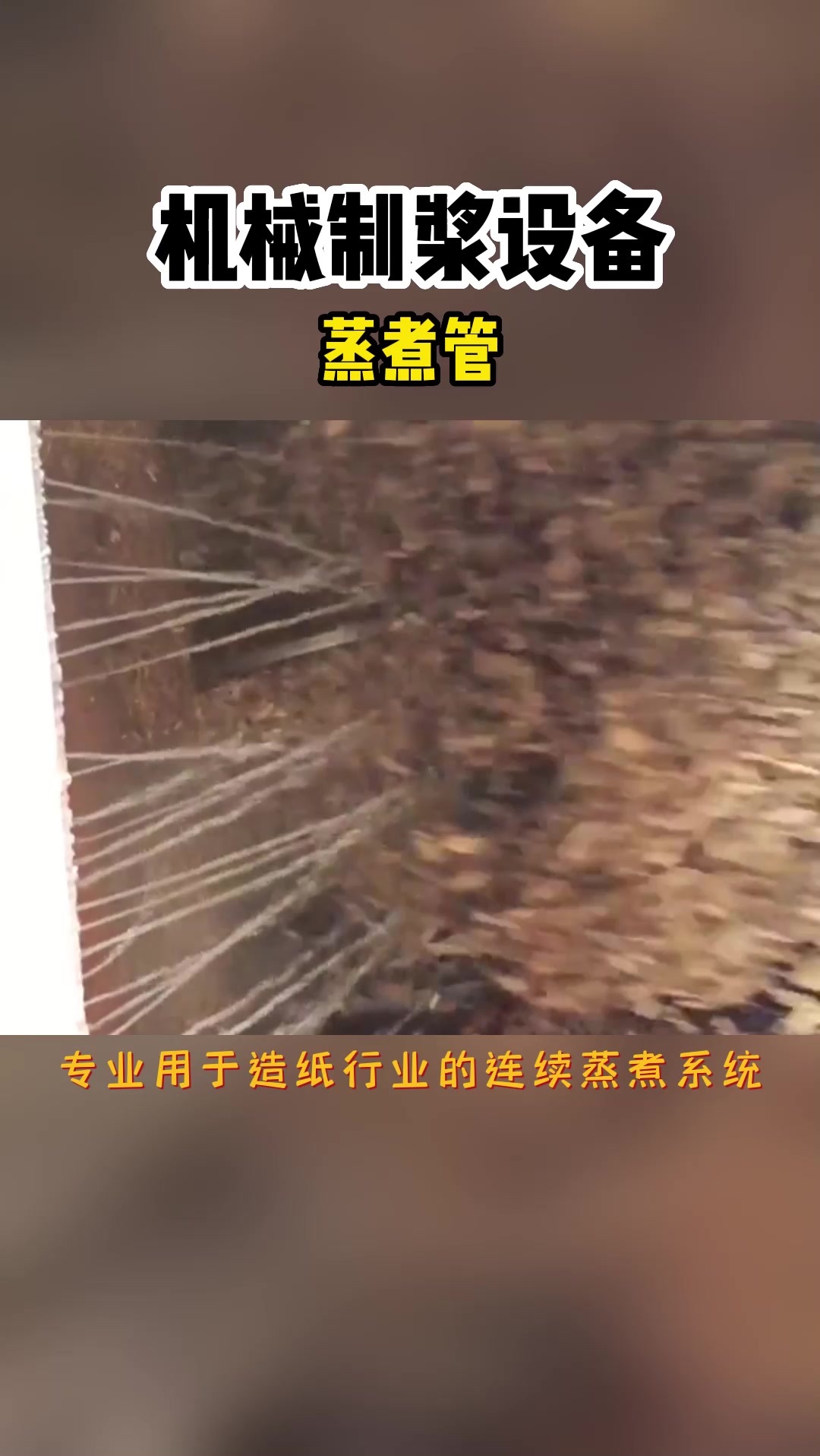 这台蒸煮管是制浆生产线里的专业蒸煮设备