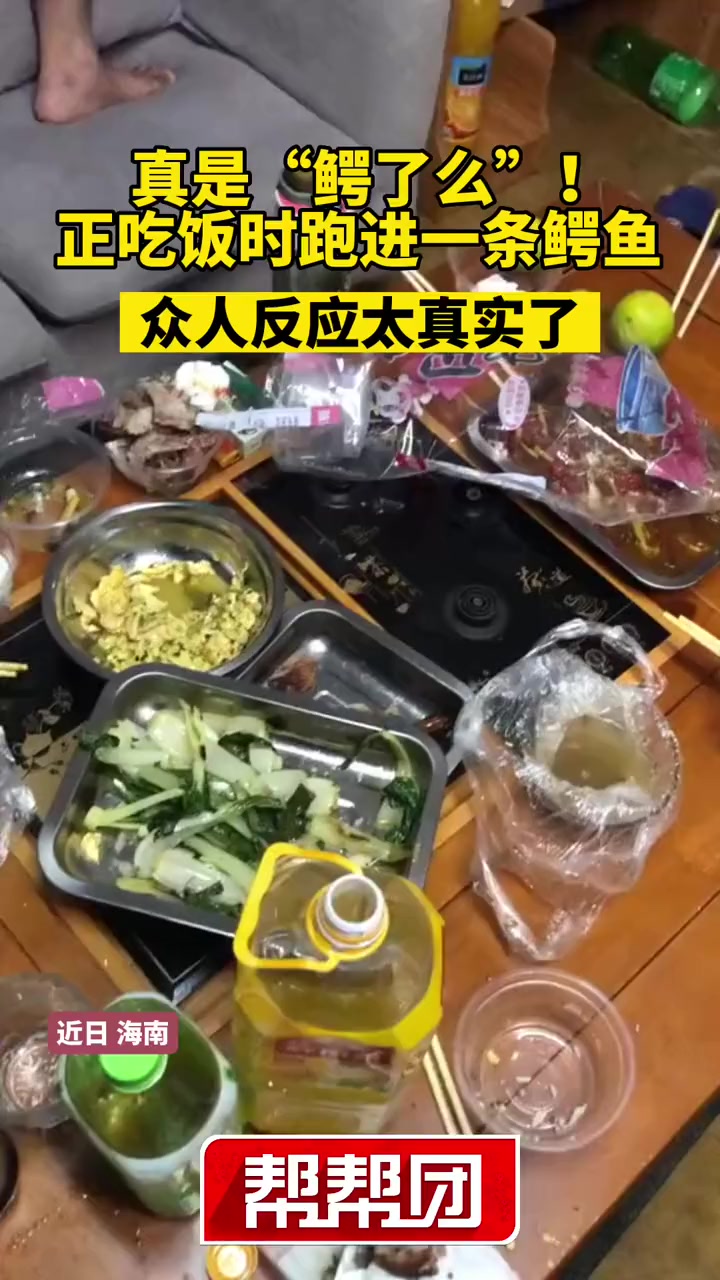 真是“鳄了么”!众人正吃饭跑进一条鳄鱼,男子反应太真实了