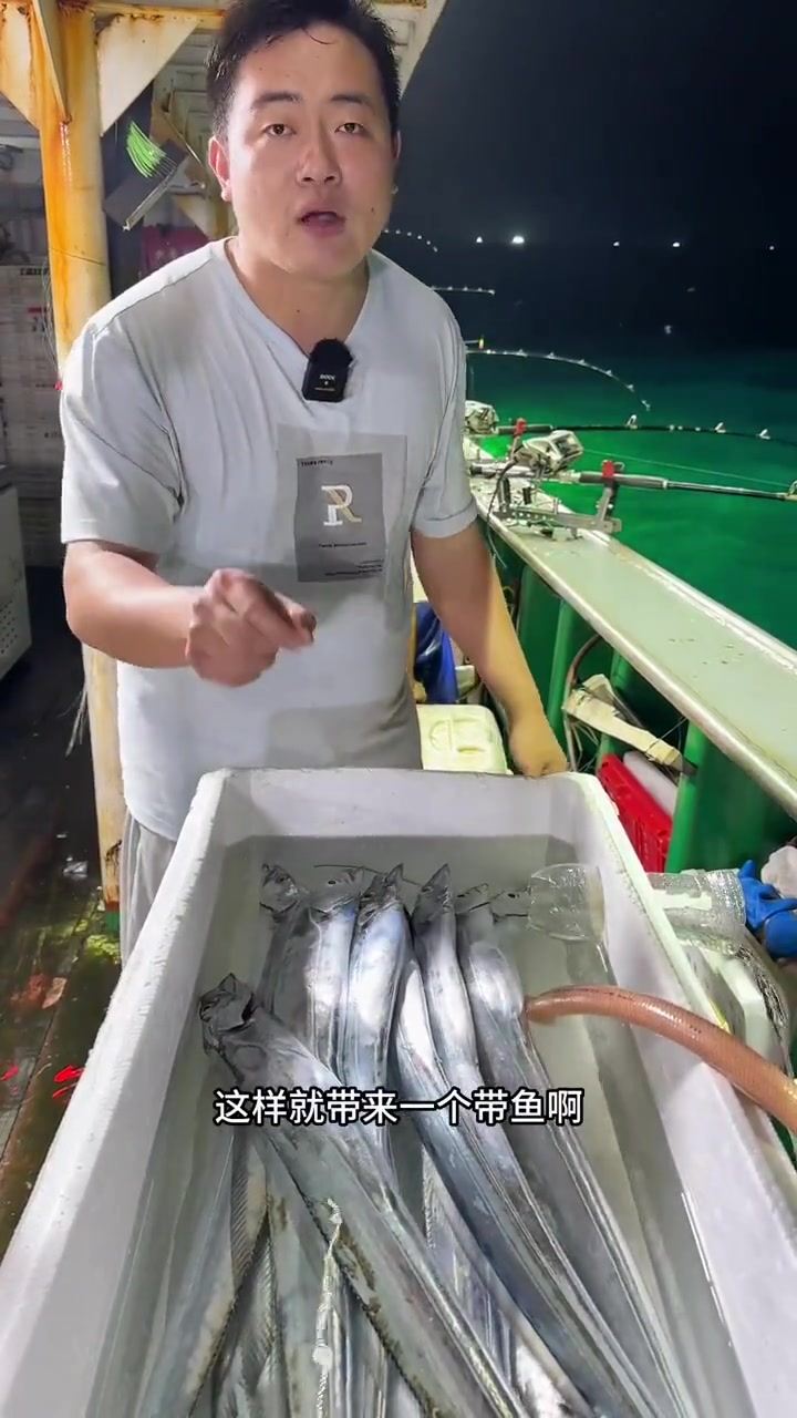 东海海钓小眼睛带鱼新鲜度一流