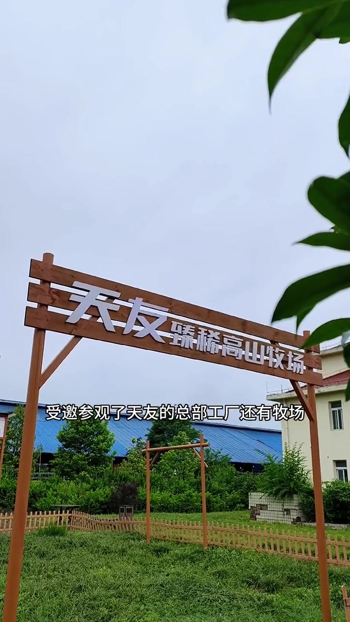 天友牛奶,24小时牧场直达。喝的就是放心。鲜奶喝的就是鲜活营养 好喝不贵 有机鲜奶品质生活