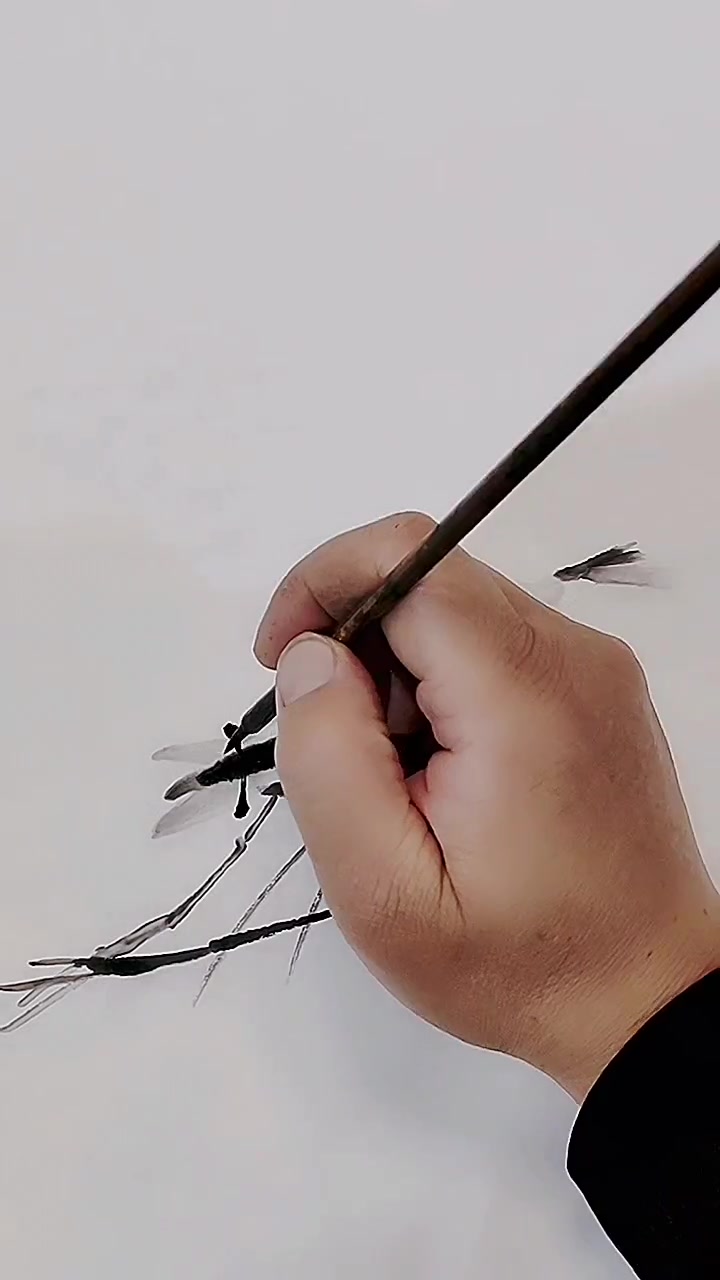 画水墨虾