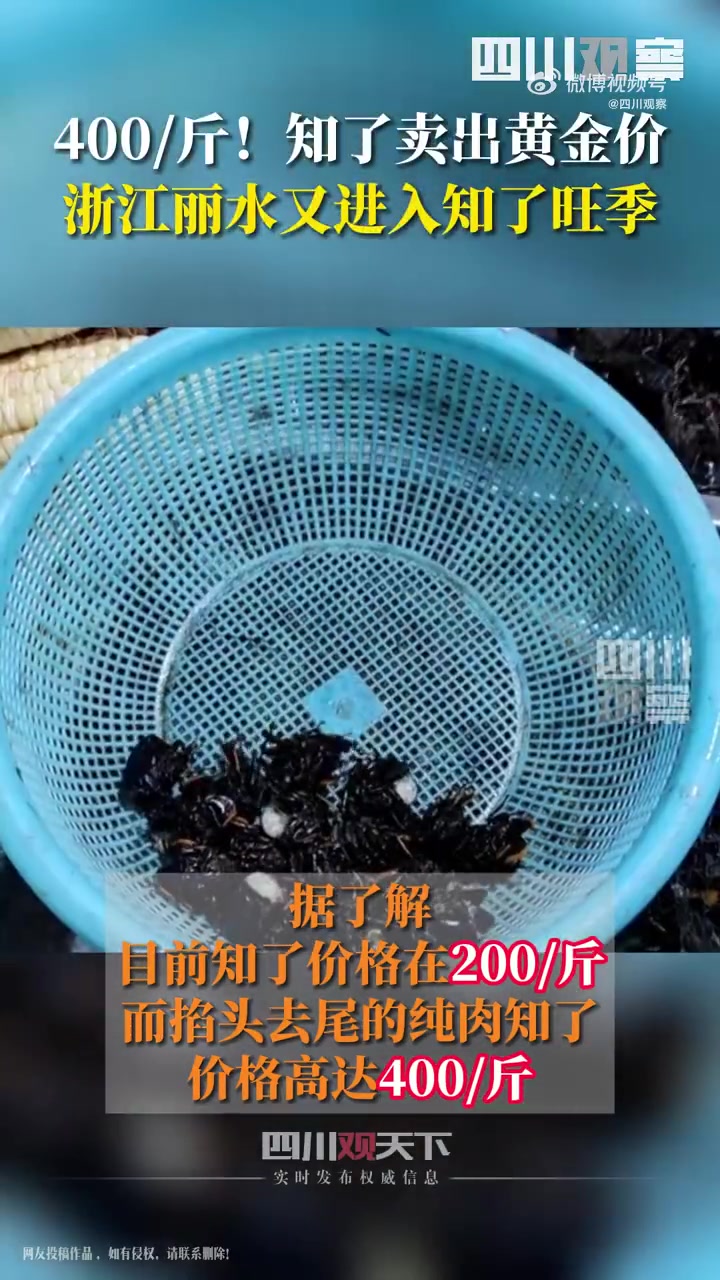 「你敢吃吗?丽水知了1斤可卖到400元」近日,浙江丽水。丽水人的夏日餐桌少不了知了,甚至小