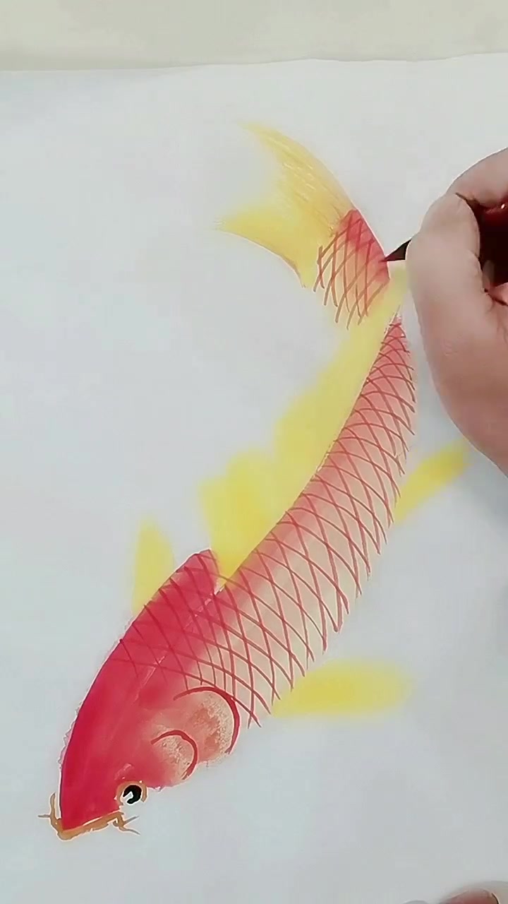 画鲤鱼