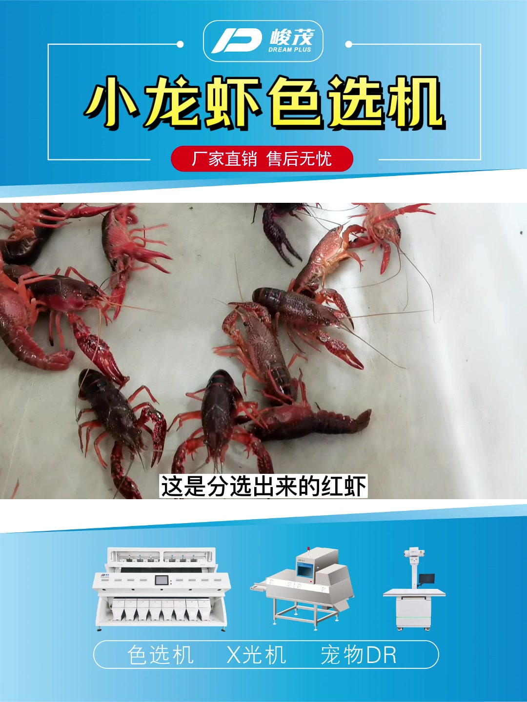 小龙虾如何用机器分选红虾和青虾 龙虾色选机智能分选精品龙虾