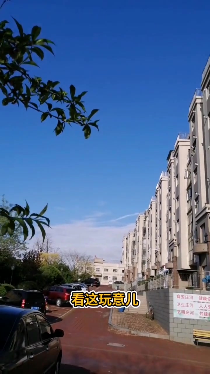 “灌猪血肠”“猪皮冻”“大骨鸡炖粉条”……这些在庄河乃至东北其它地方很有名的家常菜,在庄河