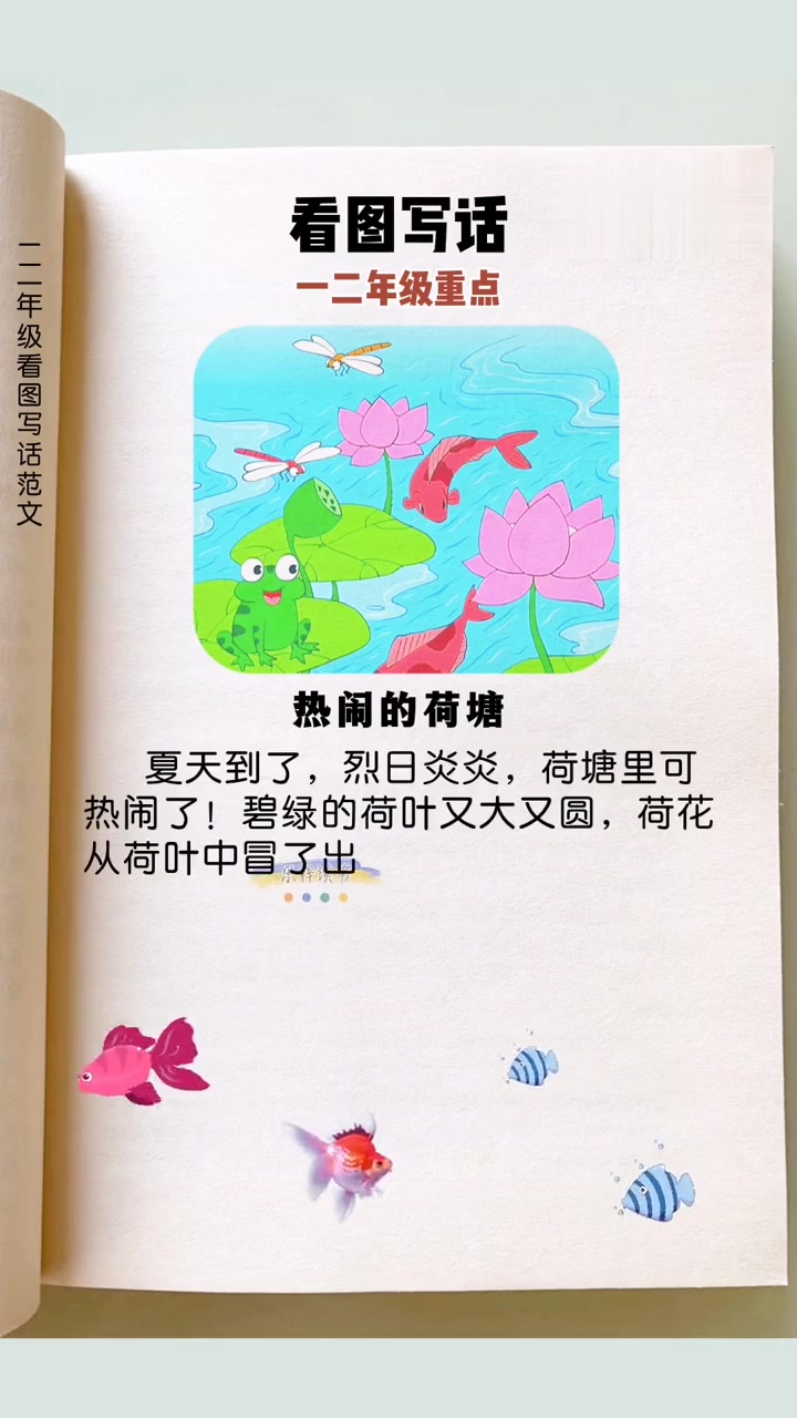 二年级常考看图写话《热闹的荷塘》